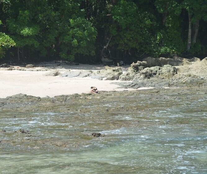 Bed and Breakfast Indigo Yoga Surf Resort