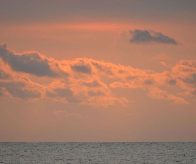 Bed and Breakfast Indigo Yoga Surf Resort