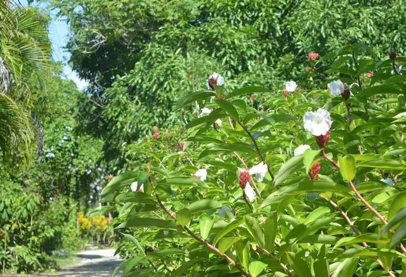 Aamiaismajoitus (B&B) Indigo Yoga Surf Resort