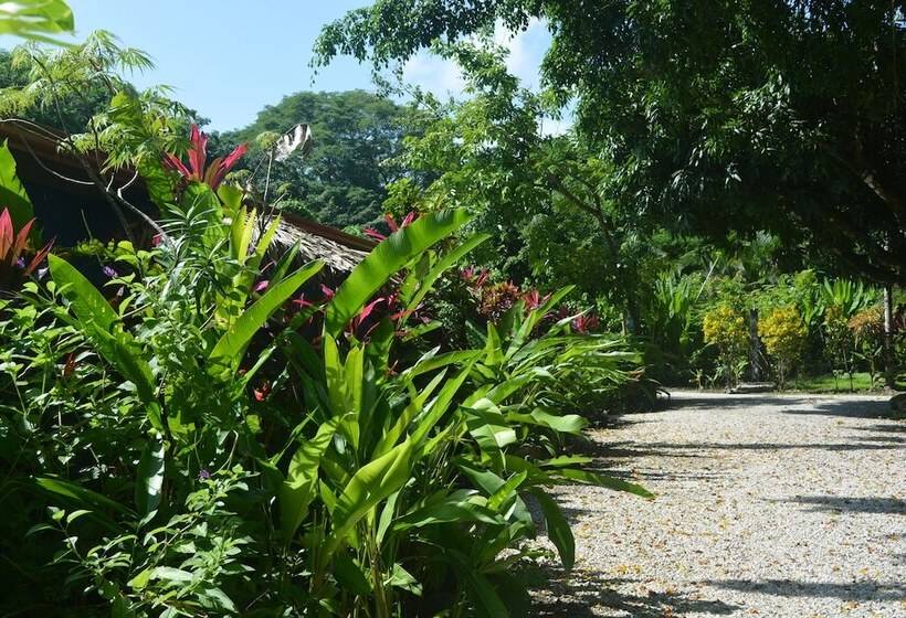 Bed and Breakfast Indigo Yoga Surf Resort