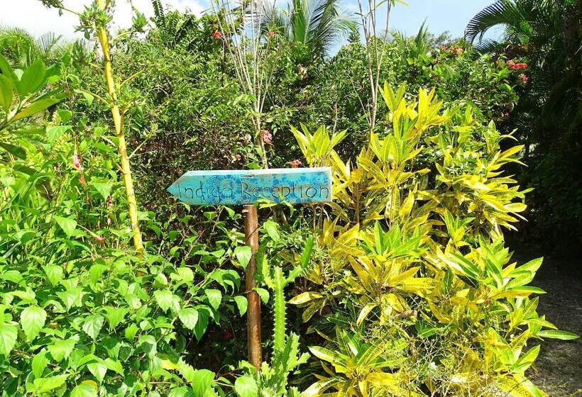 Bed and Breakfast Indigo Yoga Surf Resort