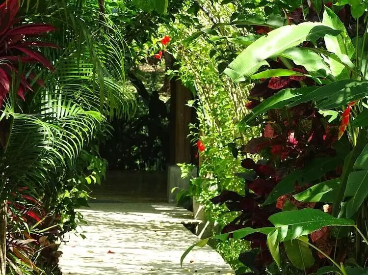 Aamiaismajoitus (B&B) Indigo Yoga Surf Resort