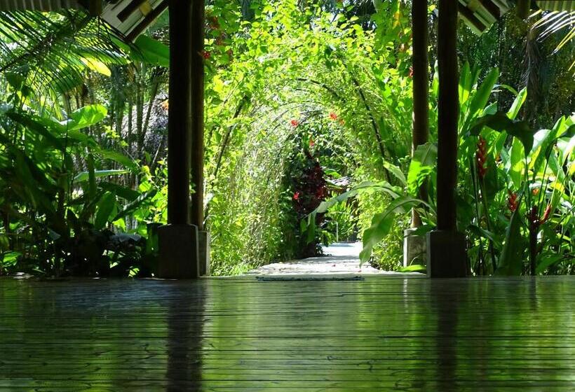 Bed and Breakfast Indigo Yoga Surf Resort