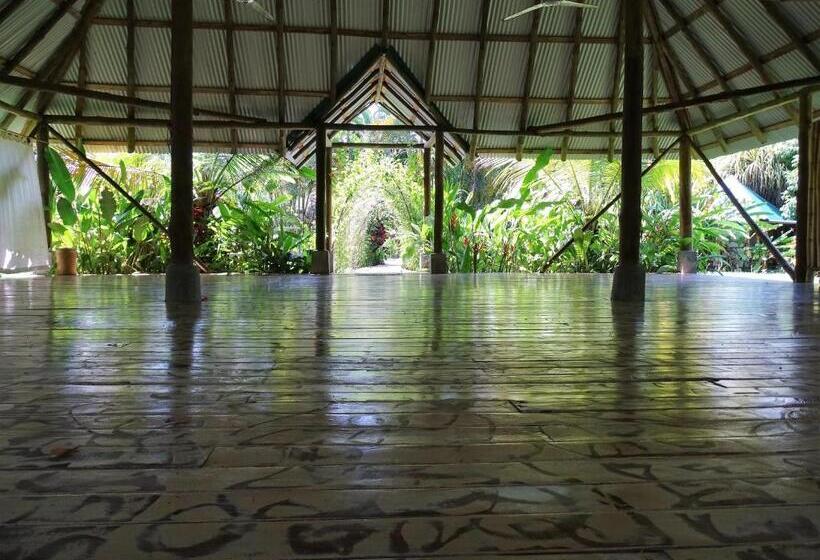 Bed and Breakfast Indigo Yoga Surf Resort