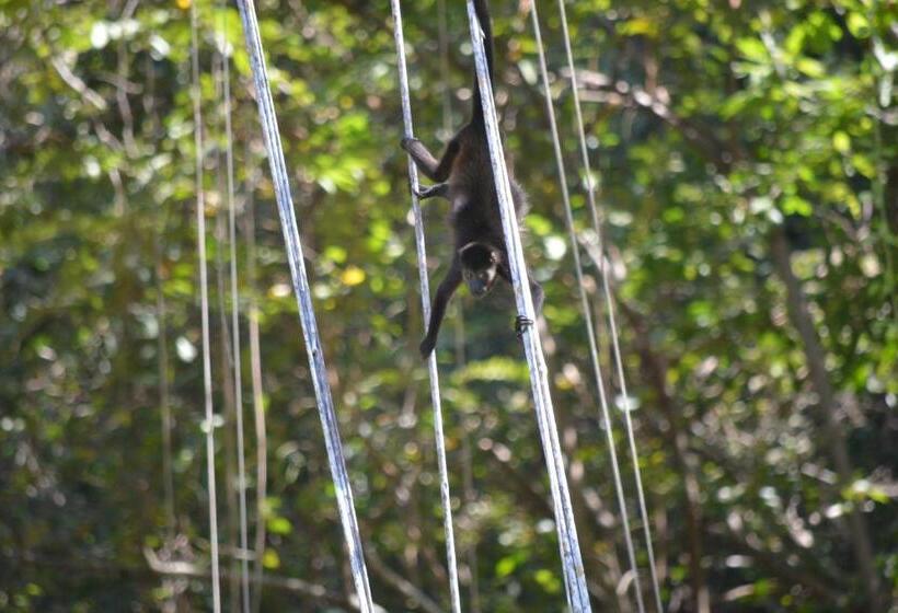 Bed and Breakfast Indigo Yoga Surf Resort