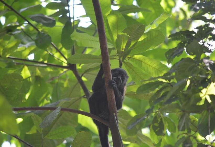 Bed and Breakfast Indigo Yoga Surf Resort