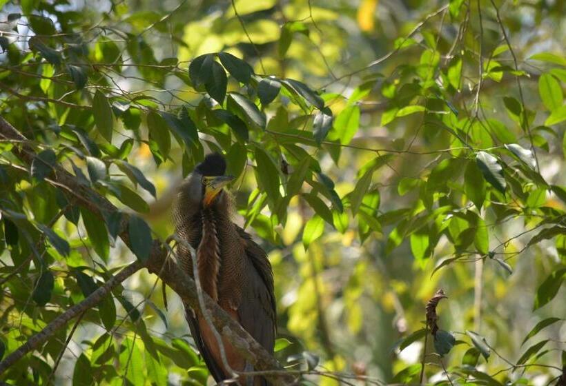 Bed and Breakfast Indigo Yoga Surf Resort