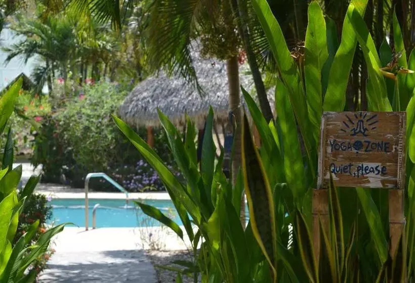 Aamiaismajoitus (B&B) Indigo Yoga Surf Resort