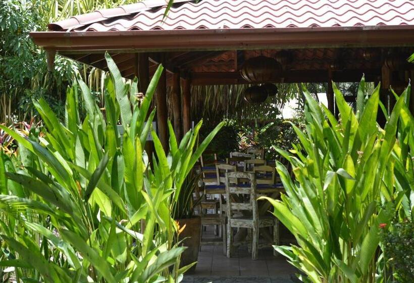 Bed and Breakfast Indigo Yoga Surf Resort