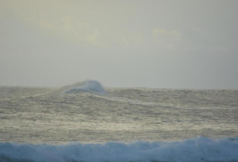 Bed and Breakfast Indigo Yoga Surf Resort