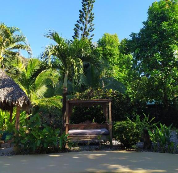 Bed and Breakfast Indigo Yoga Surf Resort