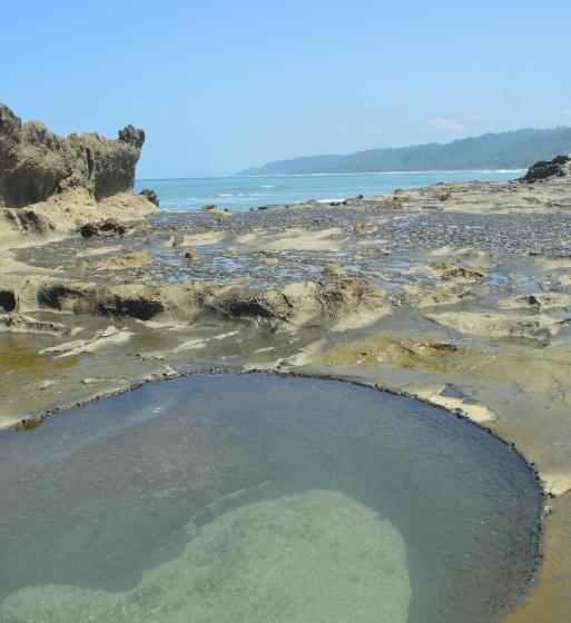 Bed and Breakfast Indigo Yoga Surf Resort