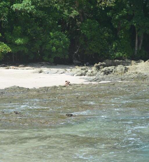 Bed and Breakfast Indigo Yoga Surf Resort