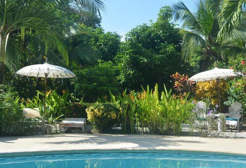 Bed and Breakfast Indigo Yoga Surf Resort