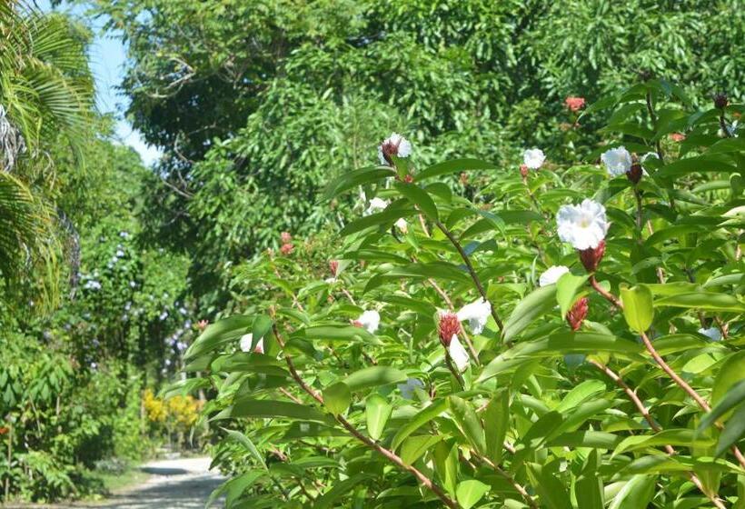 Bed and Breakfast Indigo Yoga Surf Resort