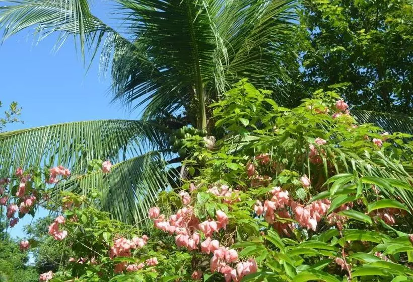 Aamiaismajoitus (B&B) Indigo Yoga Surf Resort