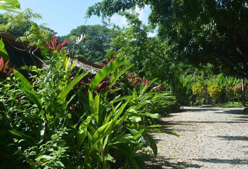 Bed and Breakfast Indigo Yoga Surf Resort