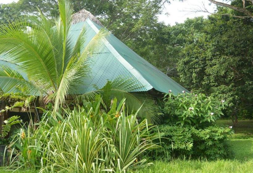 Bed and Breakfast Indigo Yoga Surf Resort