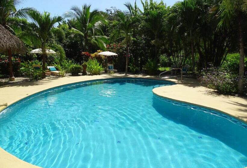 Bed and Breakfast Indigo Yoga Surf Resort