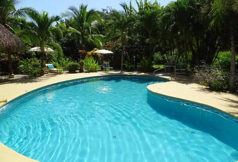 Aamiaismajoitus (B&B) Indigo Yoga Surf Resort