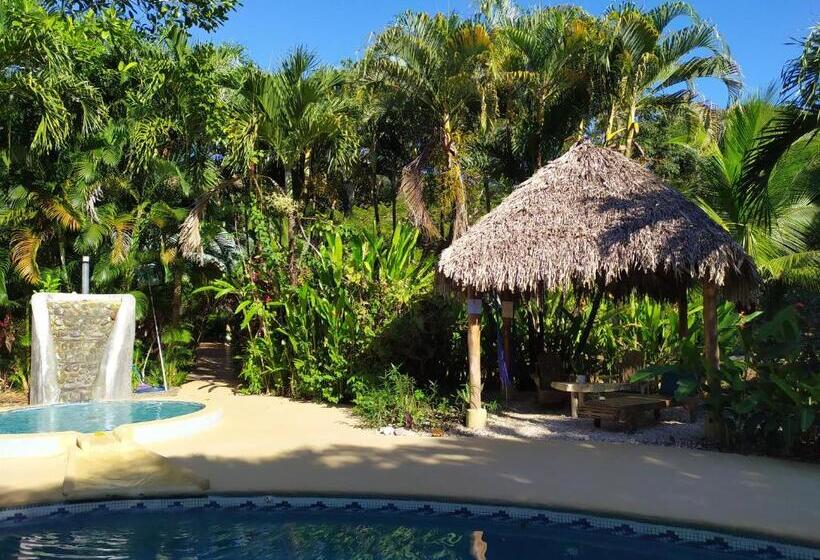 Bed and Breakfast Indigo Yoga Surf Resort