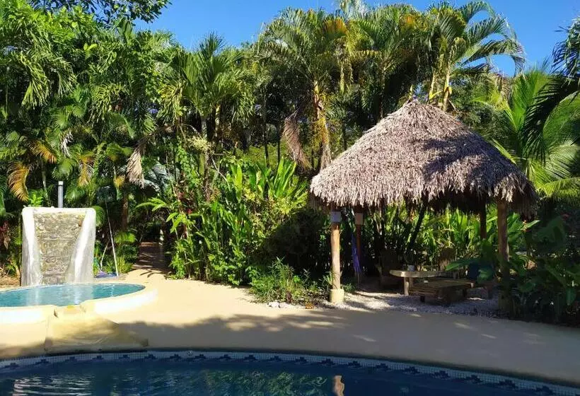 Aamiaismajoitus (B&B) Indigo Yoga Surf Resort