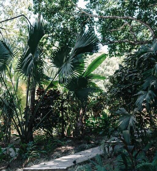 민박 Star Mountain Jungle Lodge Mal Pais, Santa Teresa