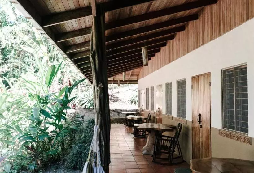 Aamiaismajoitus (B&B) Star Mountain Jungle Lodge   Mal Pais, Santa Teresa