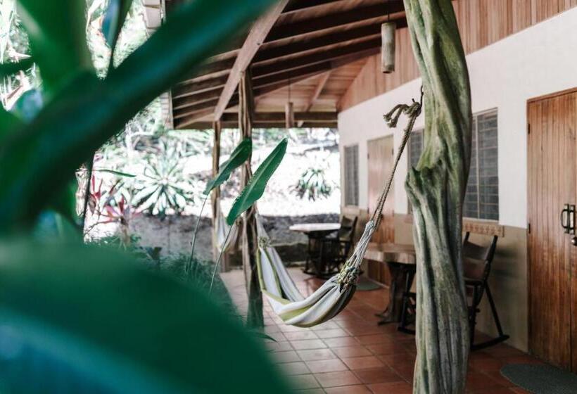 민박 Star Mountain Jungle Lodge Mal Pais, Santa Teresa