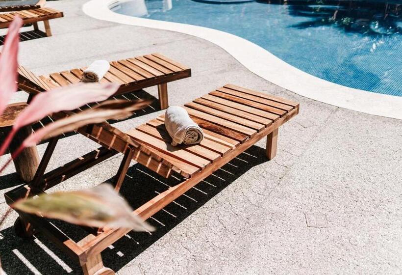 민박 Star Mountain Jungle Lodge Mal Pais, Santa Teresa