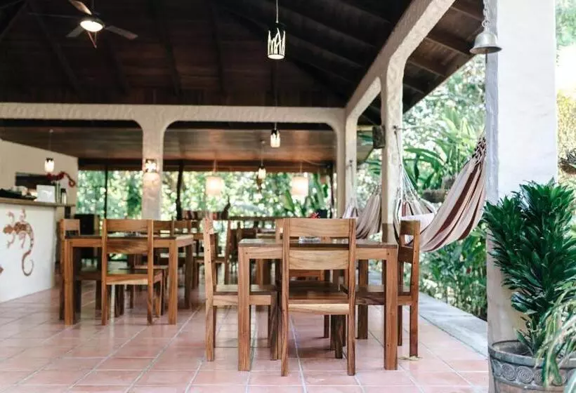 Aamiaismajoitus (B&B) Star Mountain Jungle Lodge   Mal Pais, Santa Teresa