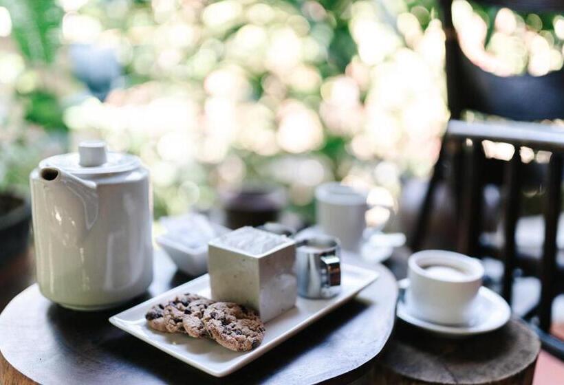 민박 Star Mountain Jungle Lodge Mal Pais, Santa Teresa