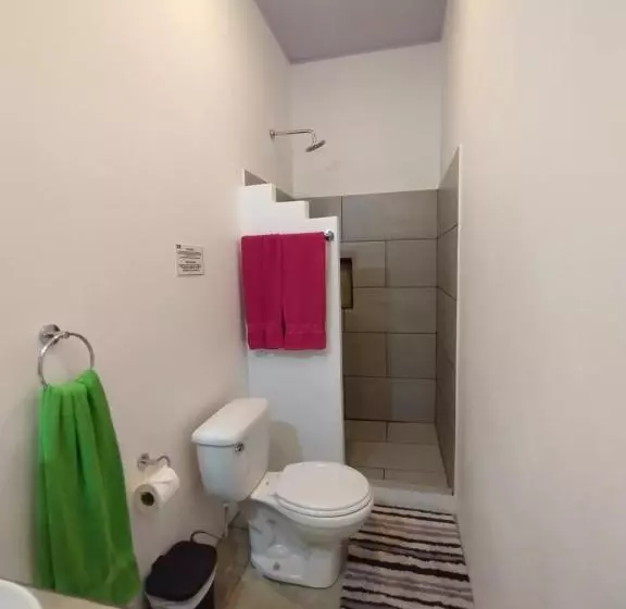 Casajungla Hostel