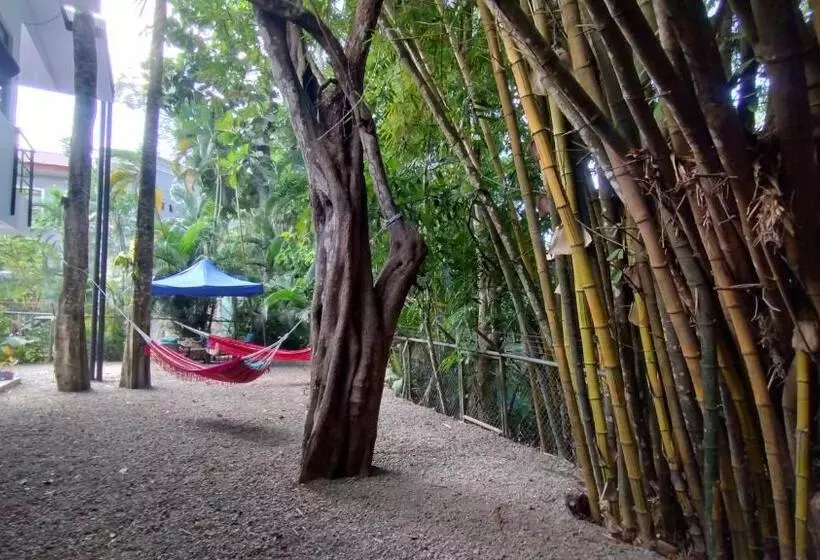 Casajungla Hostel