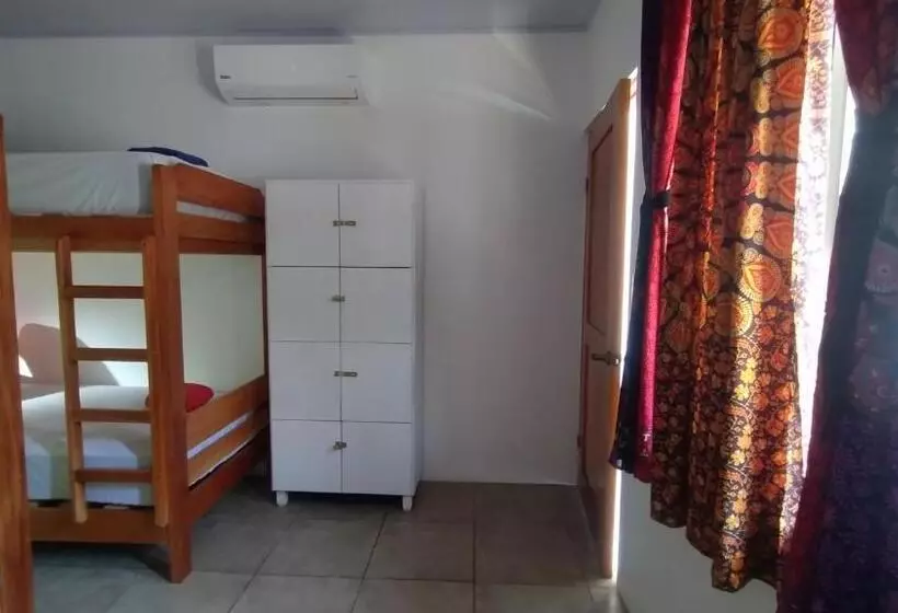 Casajungla Hostel