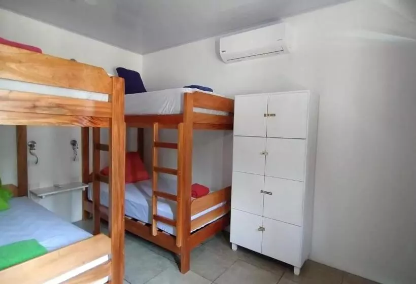 Casajungla Hostel