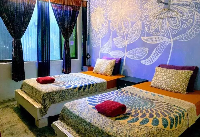 Casajungla Hostel