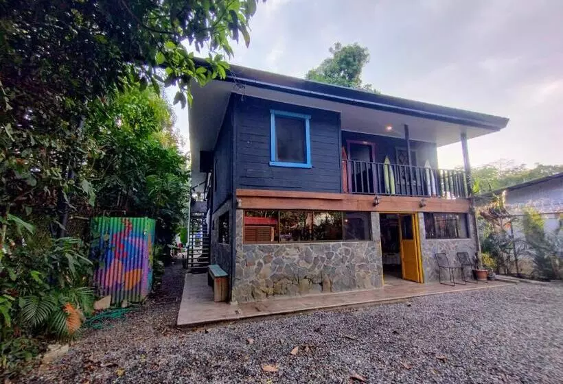 Casajungla Hostel