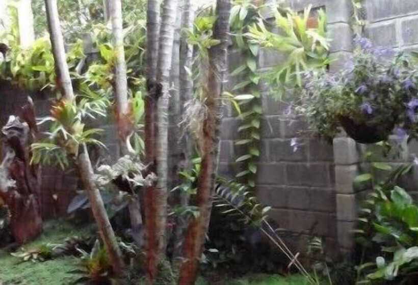 فندق 1915 Inn & Suites