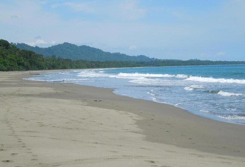 호텔 Casitas Las Flores