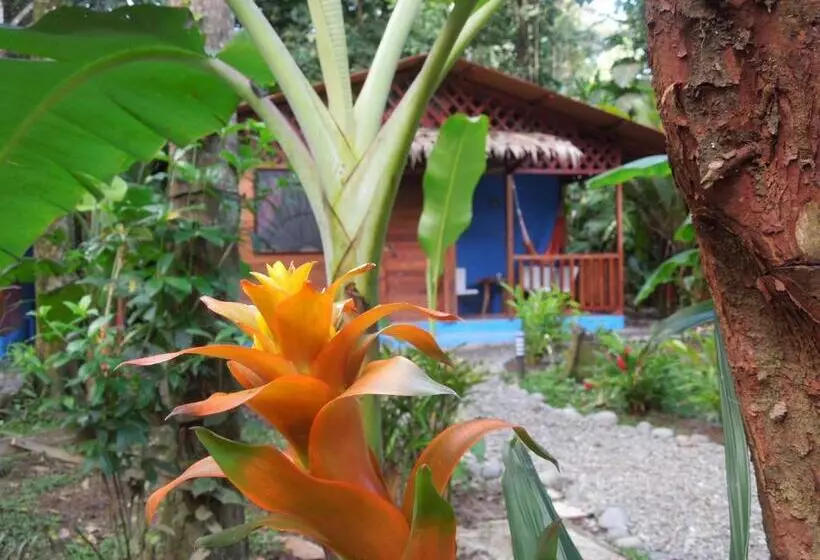 ホテル Casitas Las Flores