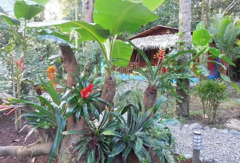 ホテル Casitas Las Flores