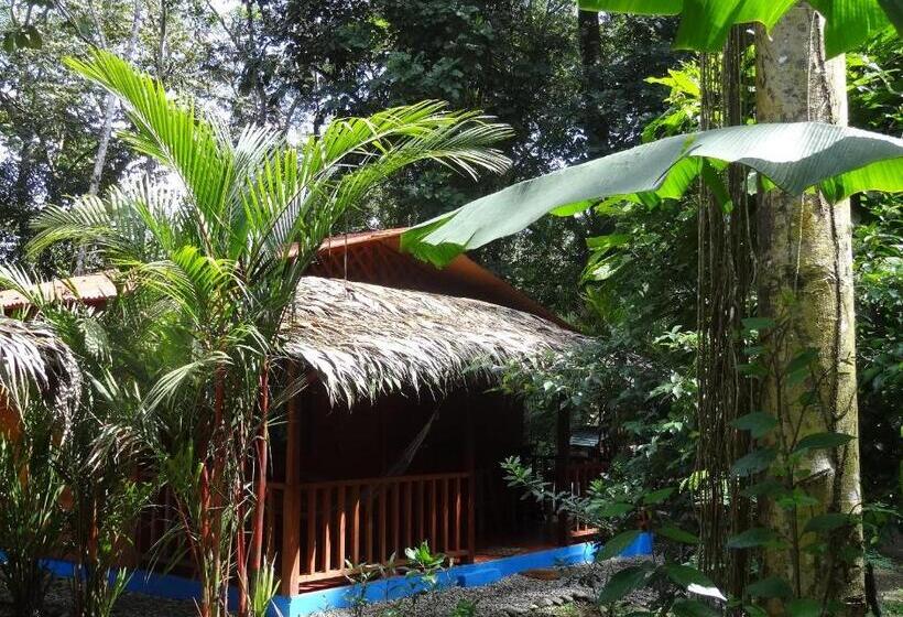 호텔 Casitas Las Flores