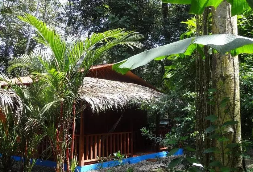 ホテル Casitas Las Flores