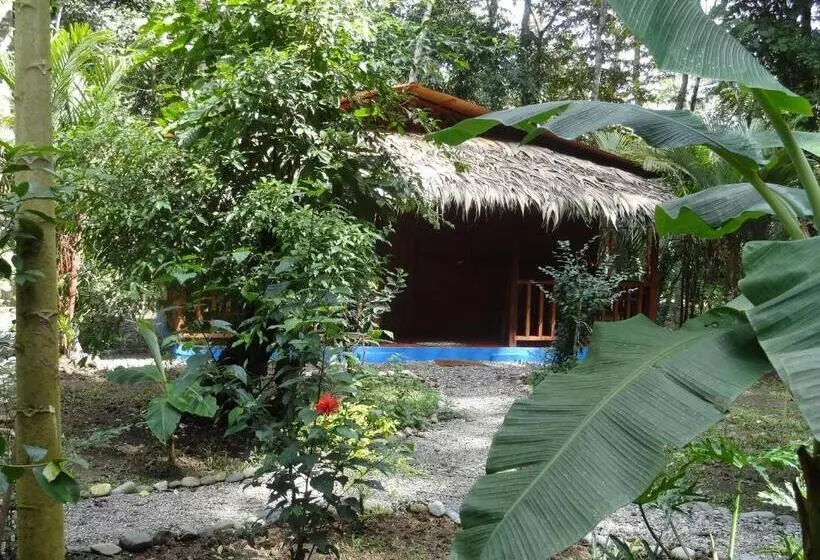 ホテル Casitas Las Flores
