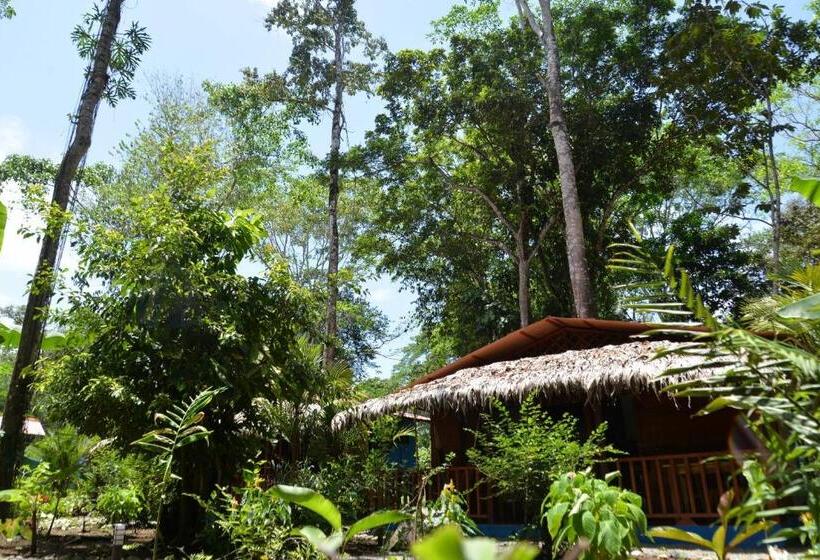 호텔 Casitas Las Flores