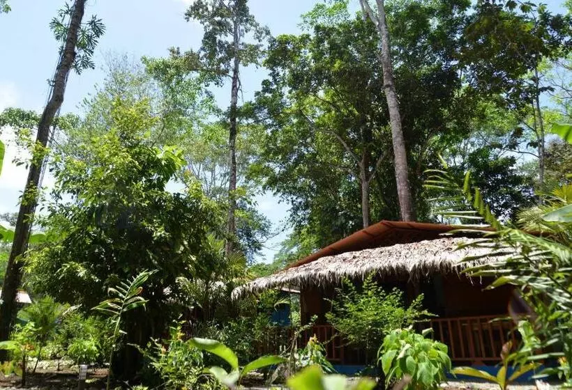 ホテル Casitas Las Flores