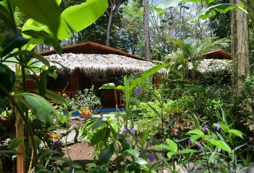 ホテル Casitas Las Flores