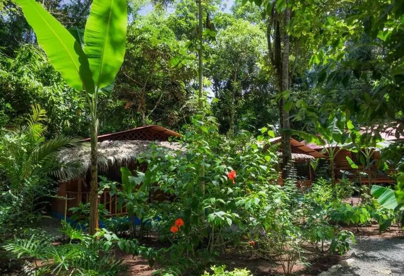 ホテル Casitas Las Flores