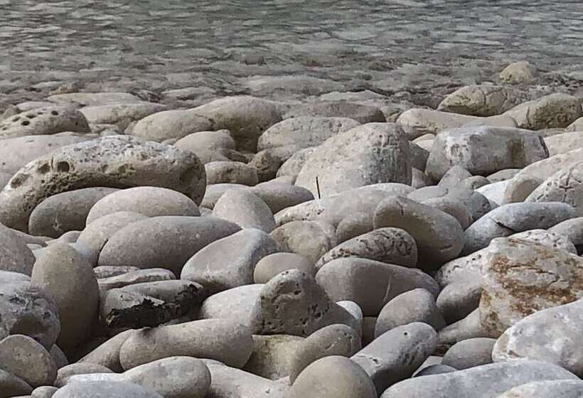 فندق Guest House Dijana